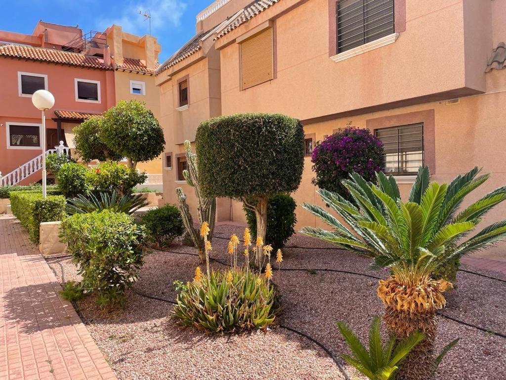 Apartament La Mata Торевьиа Экстерьер фото